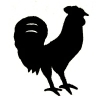 Cockerel